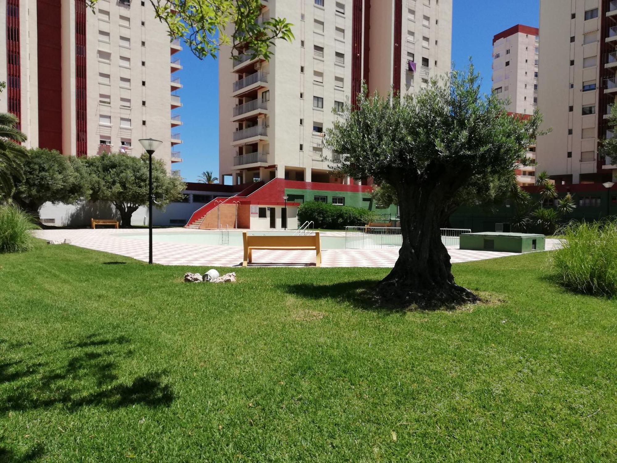 Danio Solo Familia Serviplaya Playa de Gandia ภายนอก รูปภาพ